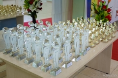 Premii absolvire 2017